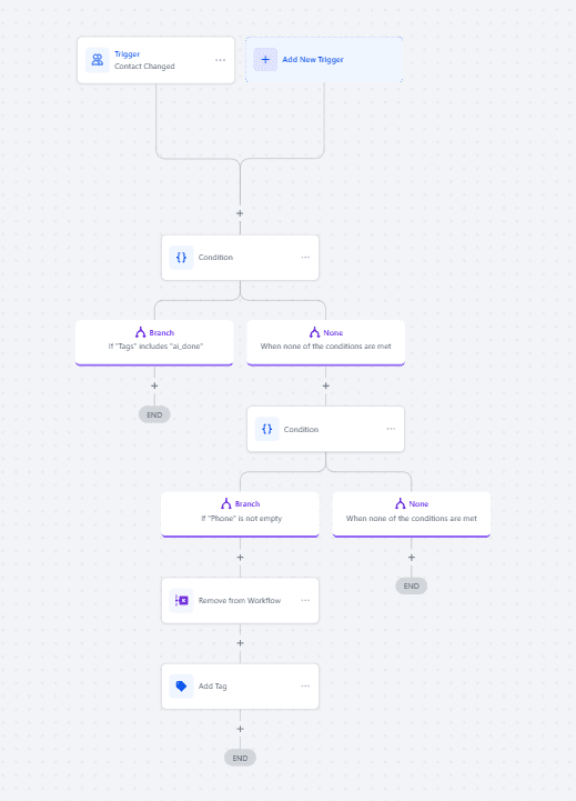 Detección Automática de Leads